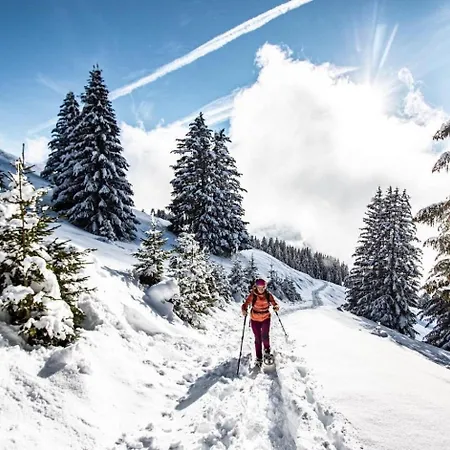 Rhododendrons Rd501 Center & Telecabine 4 Pers * Châtel