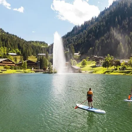Rhododendrons Rd501 Center & Telecabine 4 Pers Chatel